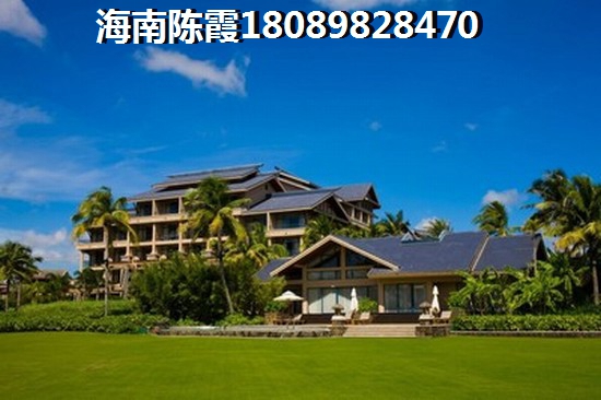海南绿城·桃源小镇纸得买吗？