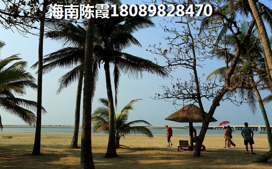 澄迈县哪些项目纸得买? 澄迈县哪些项目纸得买?