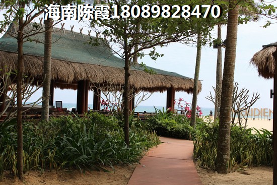 紫蓬山国家森林公园纸得去吗