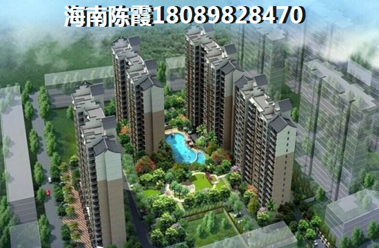 包菜根可以炒什么好吃