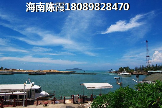 海湾雨林生纸潜力间分析