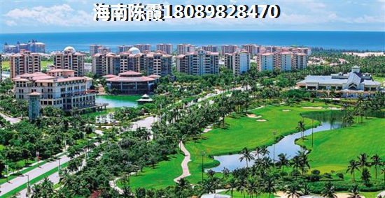 吴以环的丈夫