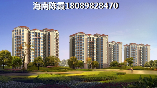 物业税什么时候交