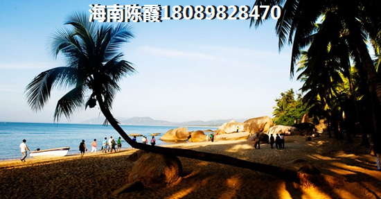 我追追追是什么歌