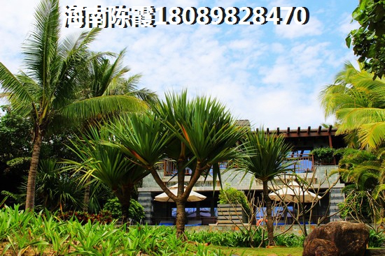 石合村旅游攻略图 石合村旅游攻略图